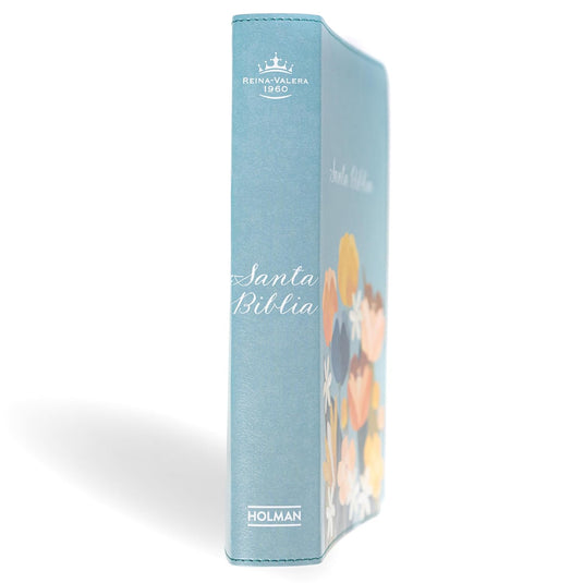Biblia RVR 1960, Letra Grande, Tamaño Manual, edición especial, símil piel aqua