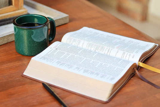 Biblia de Referencia Thompson RVR, Leathersoft café
