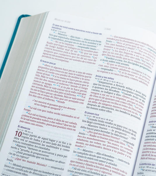 Biblia temas cotidianos para mujeres NVI, imitación piel turquesa