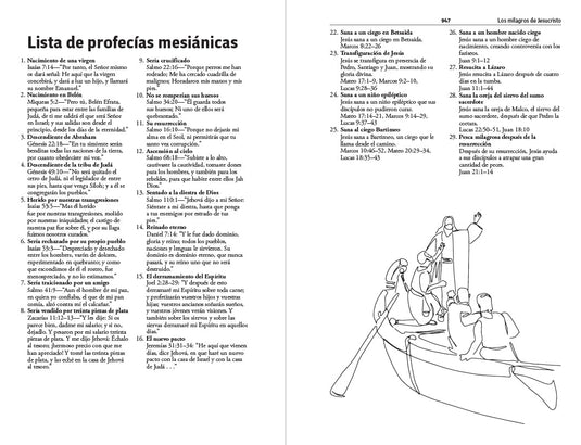Biblia RVR 1960 para regalos y premios, imitación piel rosada