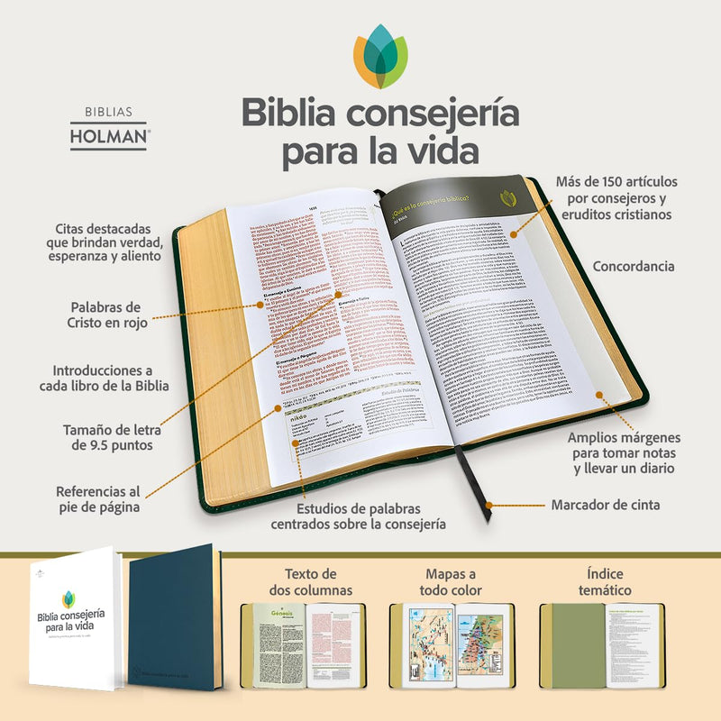 Cargue la imagen en el visor de la galería, Biblia consejería para la vida RVR 1960, tapa dura
