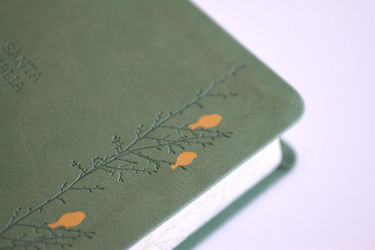 Biblia RVR 1960, Tamaño Manual, Letra Gigante, símil piel verde pájaros