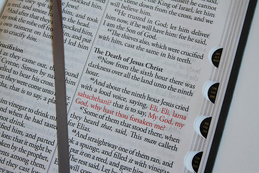 KJV Holy Bible, Giant Print,  Index, Gray Premium Imitation Leather (Biblia en inglés)