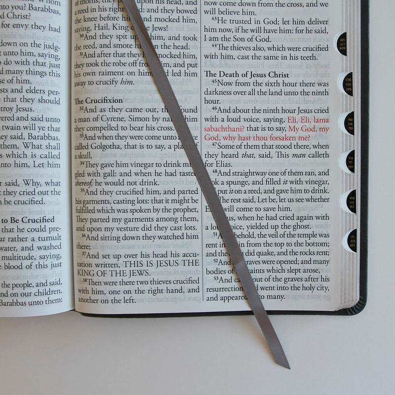 Cargue la imagen en el visor de la galería, KJV Holy Bible, Giant Print,  Index, Gray Premium Imitation Leather (Biblia en inglés)
