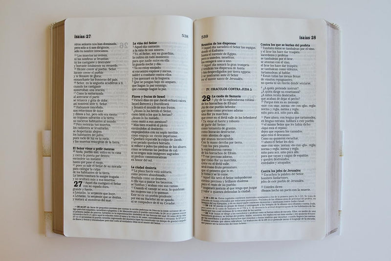 Cargue la imagen en el visor de la galería, Biblia Católica, Letra grande. Símil piel blanca: boda, quinceañera, primera, comunión
