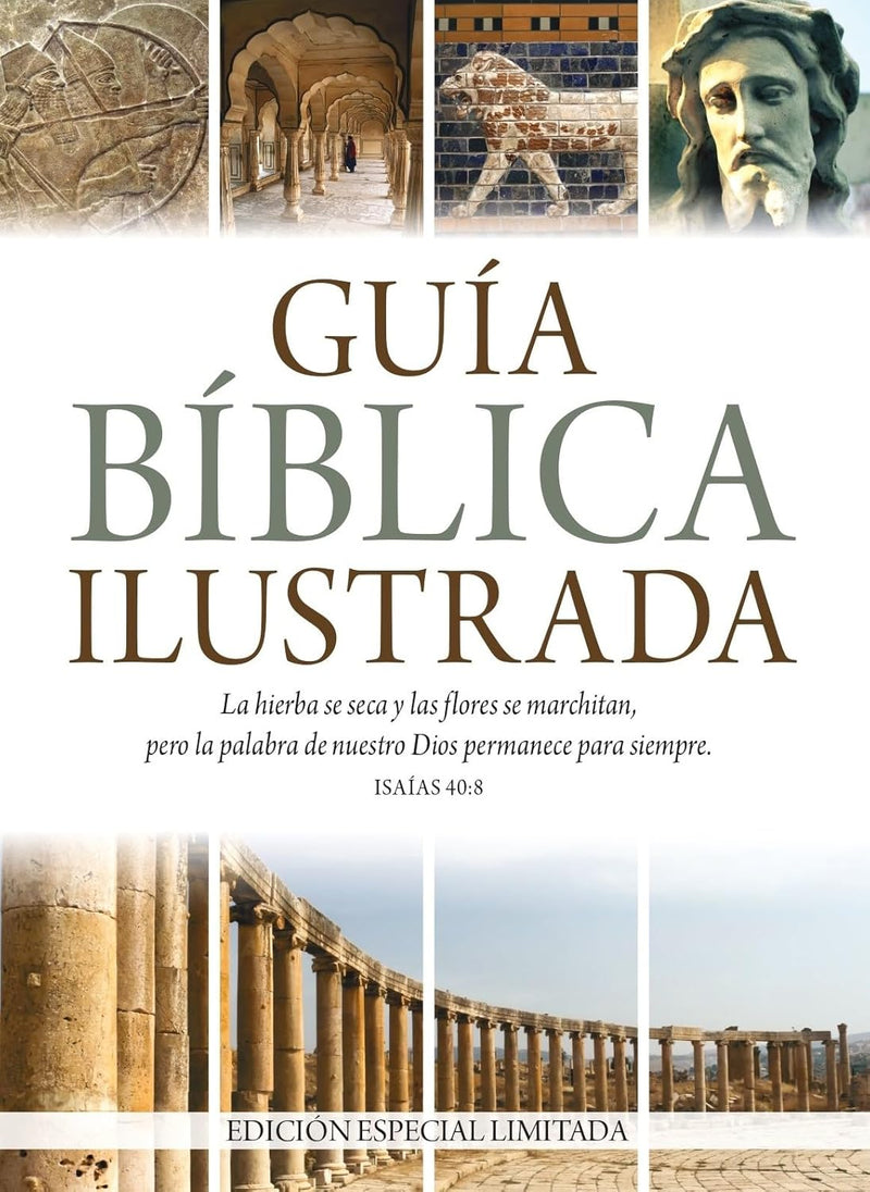 Cargue la imagen en el visor de la galería, Guía bíblica ilustrada - Edición especial limitada
