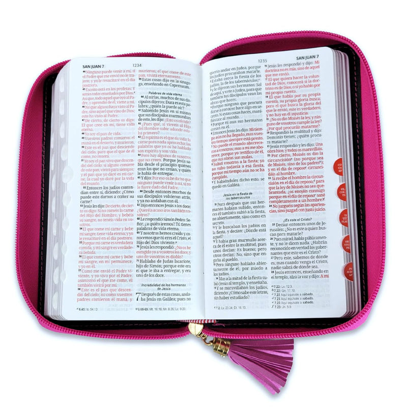 Cargue la imagen en el visor de la galería, Biblia RVR 1960, Cierre zíper, con índice, símil piel fucsia con beige- Tipo chequera

