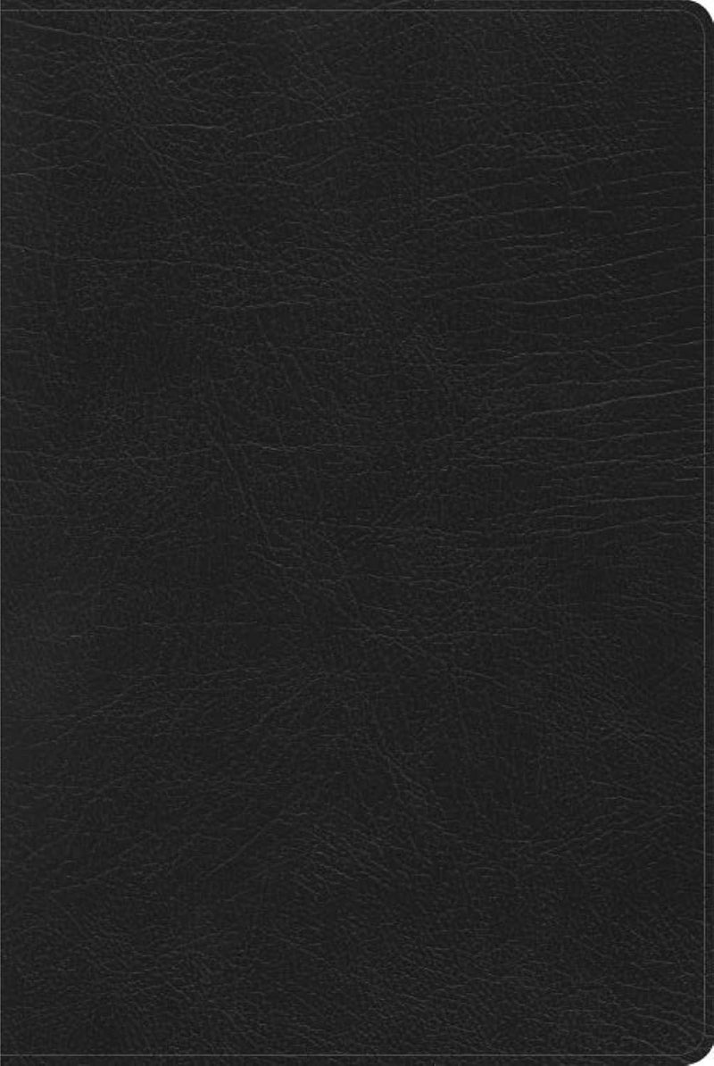 Cargue la imagen en el visor de la galería, Biblia de Estudio Arcoíris RVR 1960, símil piel negro
