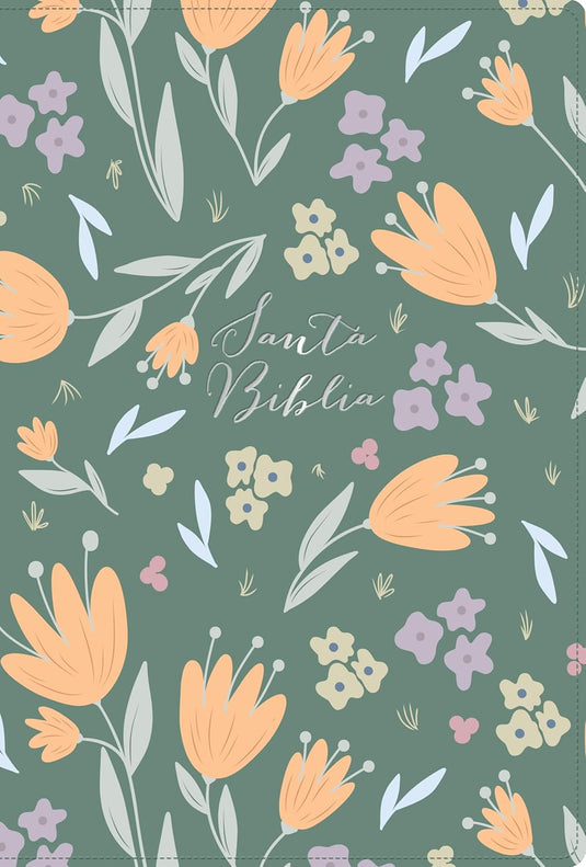 Biblia RVR 1960, Letra Grande, Tamaño Manual, edición especial, símil verde