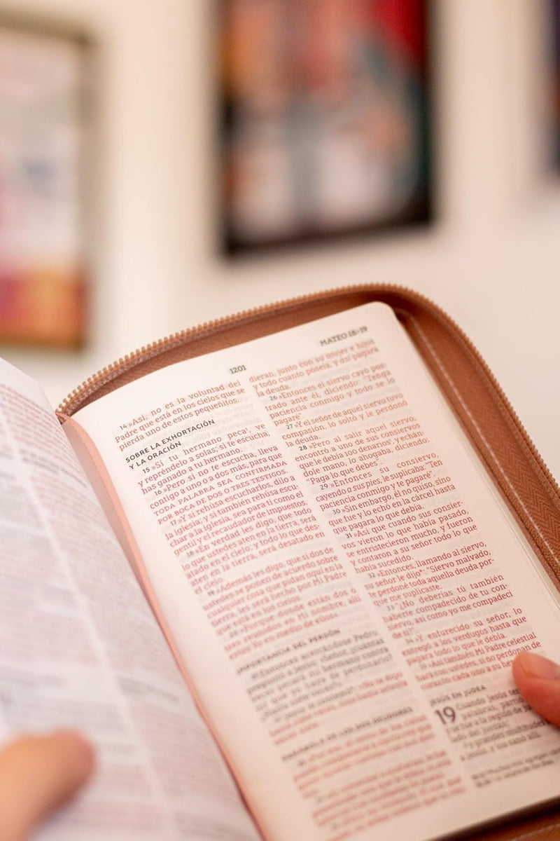 Cargue la imagen en el visor de la galería, Biblia de Bolsillo NBLA, Cierre zíper, imitación piel oro rosa
