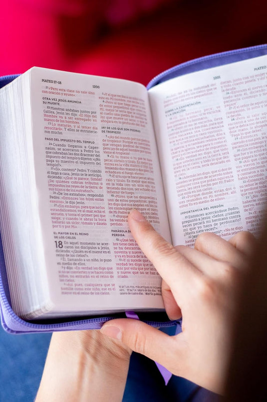 Biblia de Bolsillo NBLA, Cierre zíper, imitación piel morada