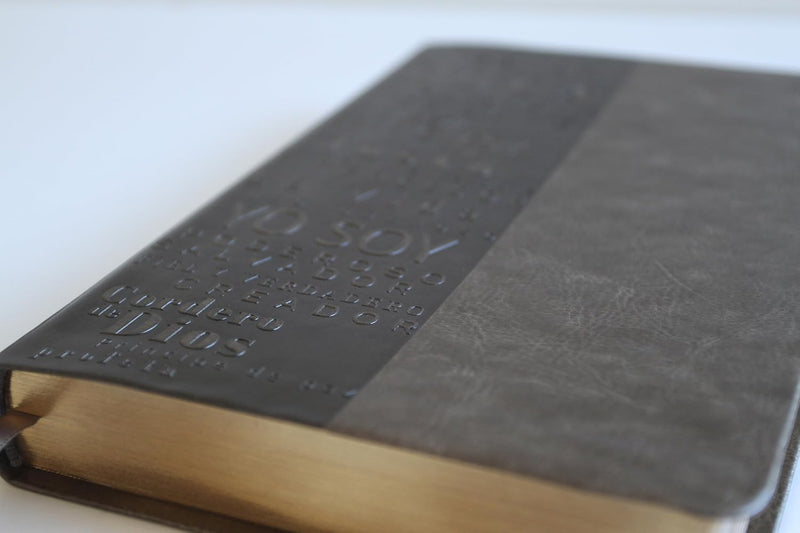 Cargue la imagen en el visor de la galería, Biblia RVR 1960, Letra Grande, Tamaño Manual, simil piel café con nombres de Dios
