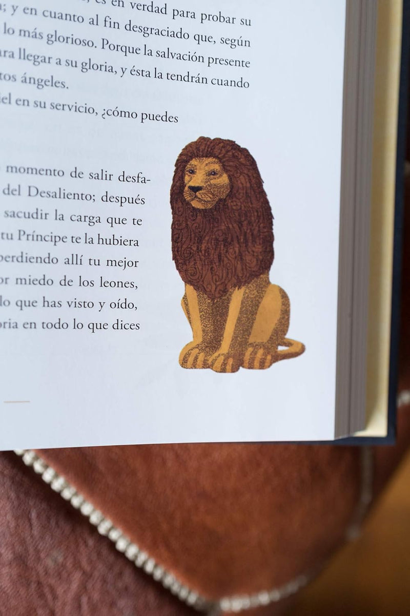 Cargue la imagen en el visor de la galería, El progreso del peregrino: Un clásico cristiano ilustrado
