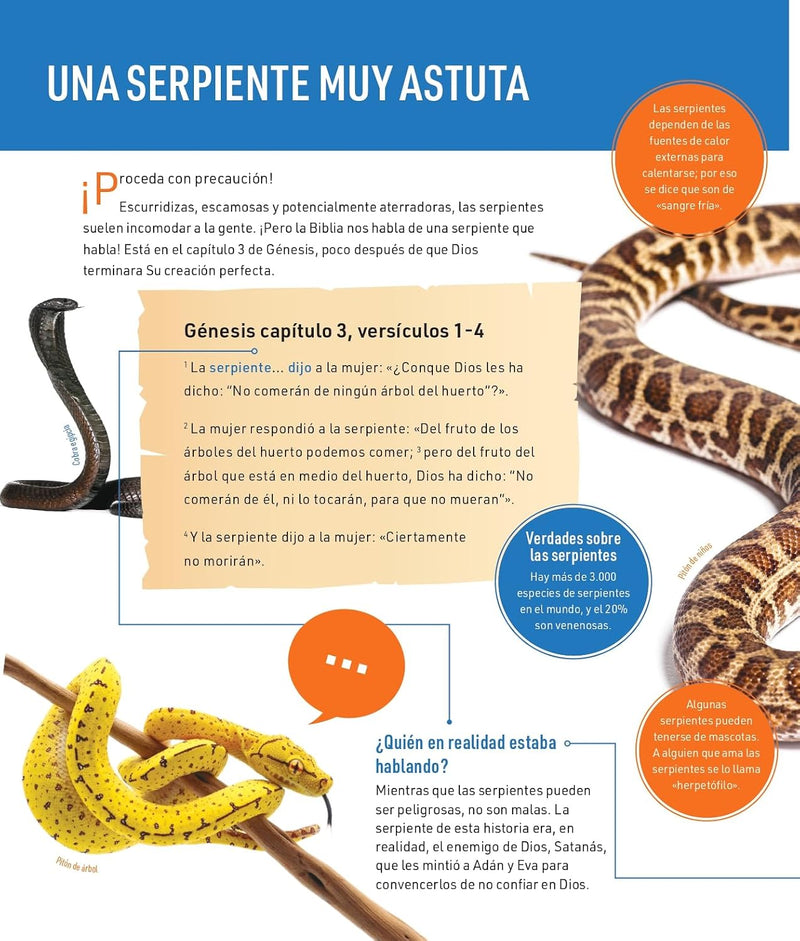 Cargue la imagen en el visor de la galería, Todo sobre los animales de la Biblia
