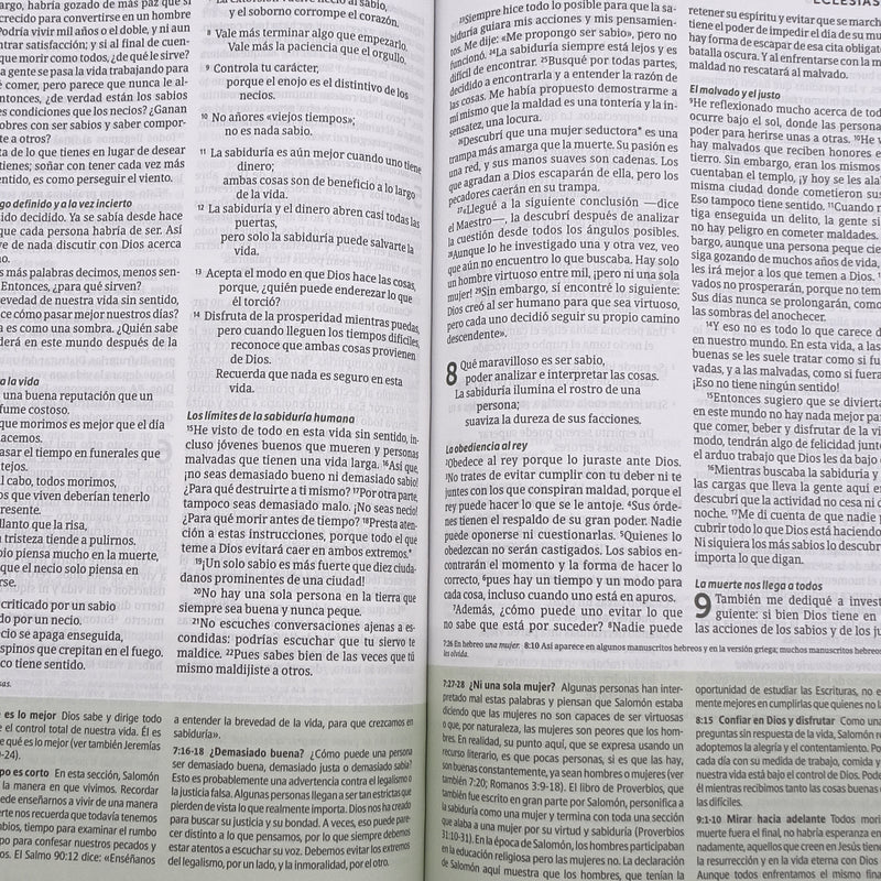 Cargue la imagen en el visor de la galería, Biblia de estudio del Diario Vivir para jóvenes NTV, con Filament, tapa dura
