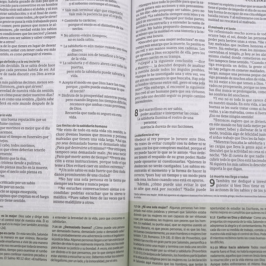 Biblia de estudio del Diario Vivir para jóvenes NTV, con Filament, tapa dura