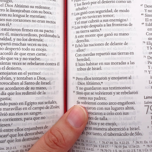 Biblia RVR 1960, Letra Grande, Tamaño Manual, Tapa dura/ tela verde con flores