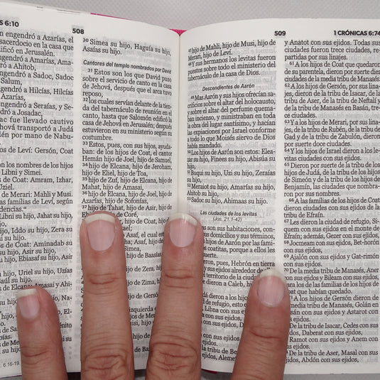 Biblia de Bolsillo RVR 1960, imitación piel fucsia flores y mariposas