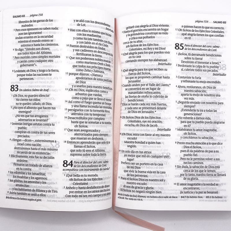 Cargue la imagen en el visor de la galería, Santa Biblia NTV, Edición personal, Letra Grande, imitación piel rosado metálico
