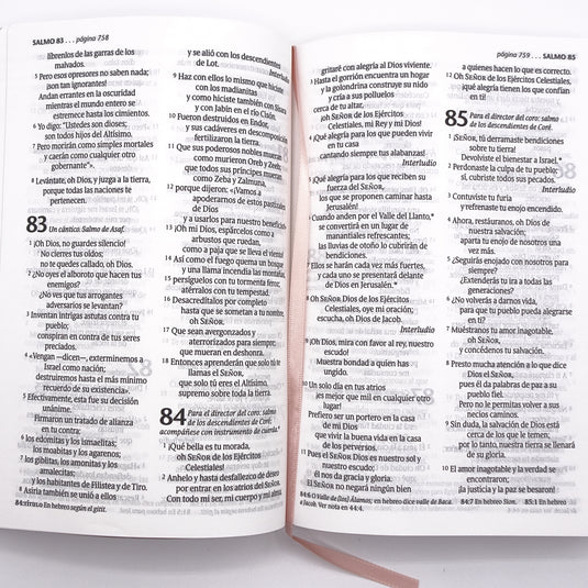Santa Biblia NTV, Edición personal, Letra Grande, imitación piel rosado metálico