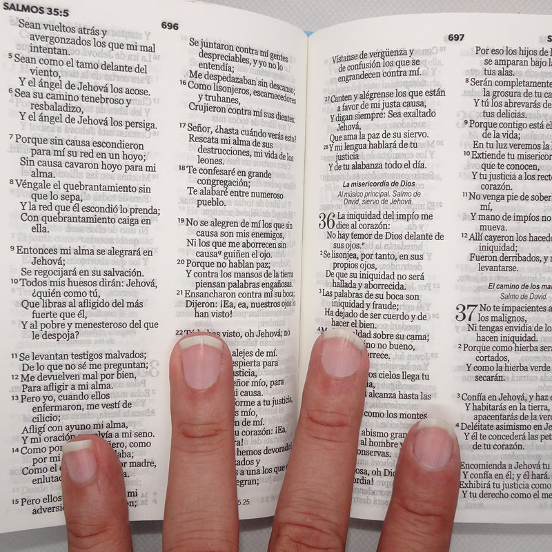 Cargue la imagen en el visor de la galería, Biblia de Bolsillo RVR 1960, imitación piel celeste flores y pájaros
