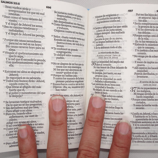 Biblia de Bolsillo RVR 1960, imitación piel celeste flores y pájaros