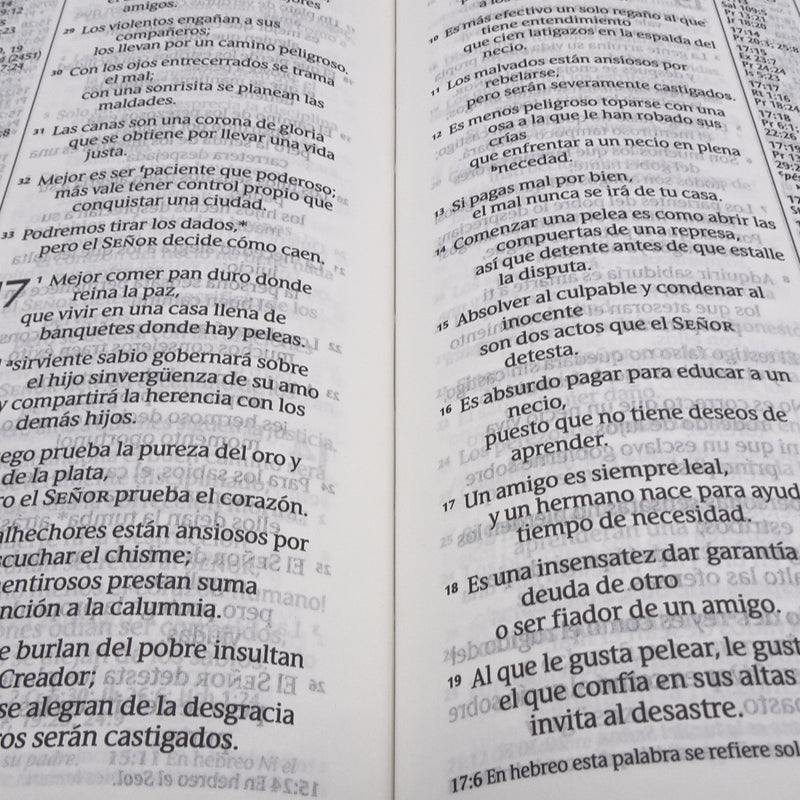 Cargue la imagen en el visor de la galería, Santa Biblia NTV, con zíper, con referencias, Letra Grande, imitación piel negro
