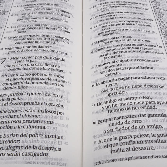 Santa Biblia NTV, con zíper, con referencias, Letra Grande, imitación piel negro