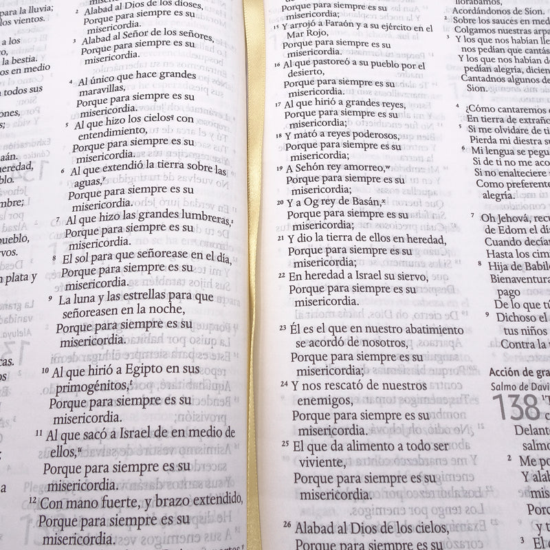 Cargue la imagen en el visor de la galería, Biblia RVR 1960, Letra Grande, Tamaño Manual, tapa dura terracota flores
