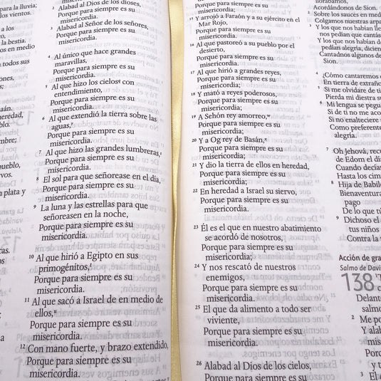 Biblia RVR 1960, Letra Grande, Tamaño Manual, tapa dura terracota flores
