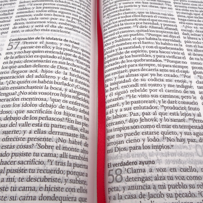 Cargue la imagen en el visor de la galería, Biblia RVR 1960, Letra Grande, Tamaño Manual, tapa dura corazón marrón
