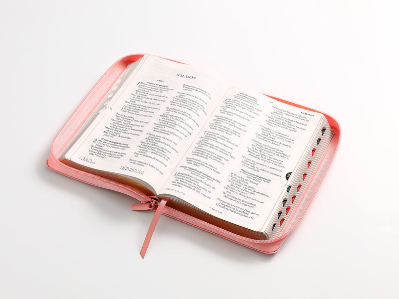 Cargue la imagen en el visor de la galería, Biblia RVR 1960, Letra Grande, Cierre zíper, con índice, imitación piel rosada
