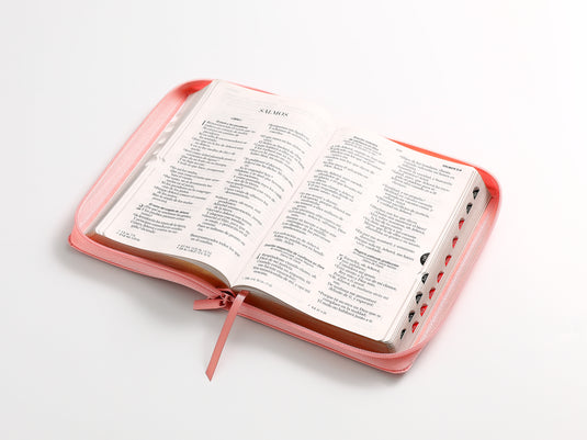 Biblia RVR 1960, Letra Grande, Cierre zíper, con índice, imitación piel rosada
