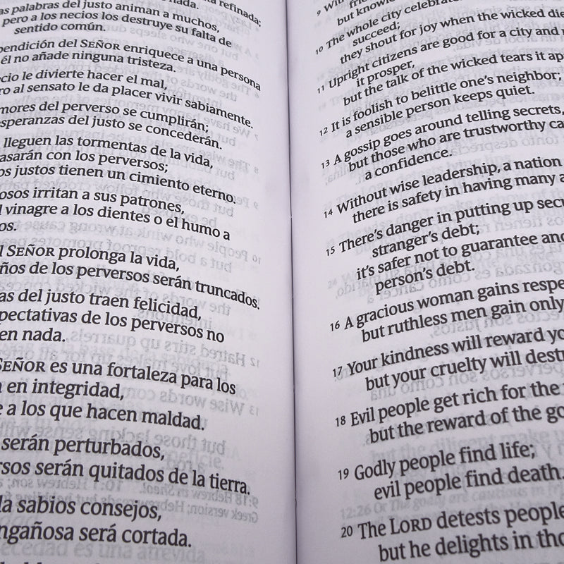 Cargue la imagen en el visor de la galería, Bilingual Bible / Biblia bilingüe NLT/NTV, imitación piel café
