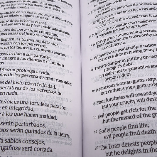 Bilingual Bible / Biblia bilingüe NLT/NTV, imitación piel café