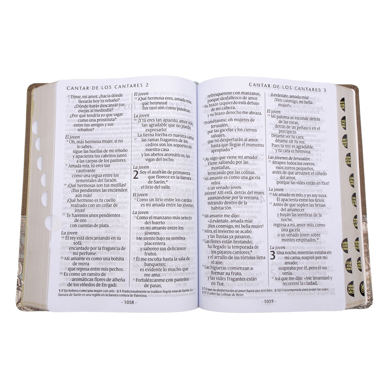 Cargue la imagen en el visor de la galería, Biblia NTV, Letra Súper Gigante, con índice, imitación piel beige pájaro
