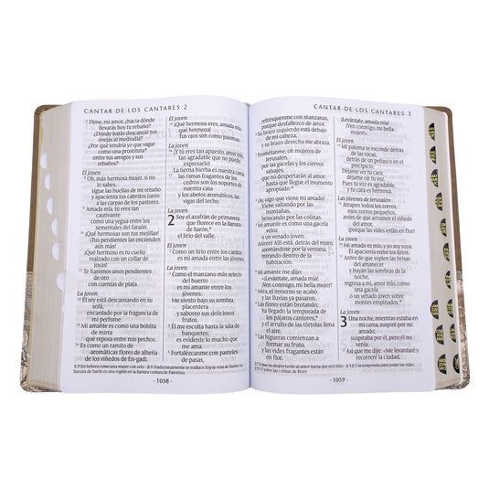 Biblia NTV, Letra Súper Gigante, con índice, imitación piel beige pájaro