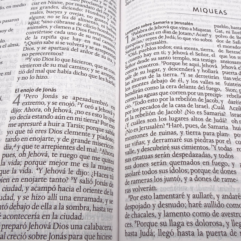 Cargue la imagen en el visor de la galería, Biblia RVR 1960, Letra Grande, Tamaño Manual, tapa dura blanca flores

