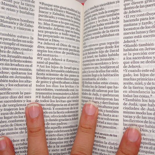 Biblia RVR 1960, Tamaño portátil, Letra Grande, imitación piel naranja primaveral