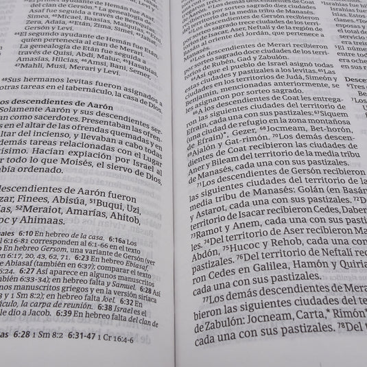 Biblia ultrafina NTV, con Filament, imitación piel café