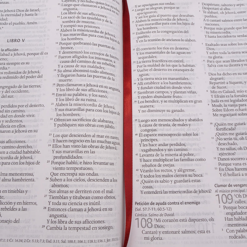 Cargue la imagen en el visor de la galería, Biblia ultrafina RVR 1960, Tamaño Manual, Cierre zíper, Letra Grande, símil piel café
