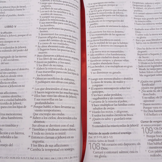 Biblia ultrafina RVR 1960, Tamaño Manual, Cierre zíper, Letra Grande, símil piel café
