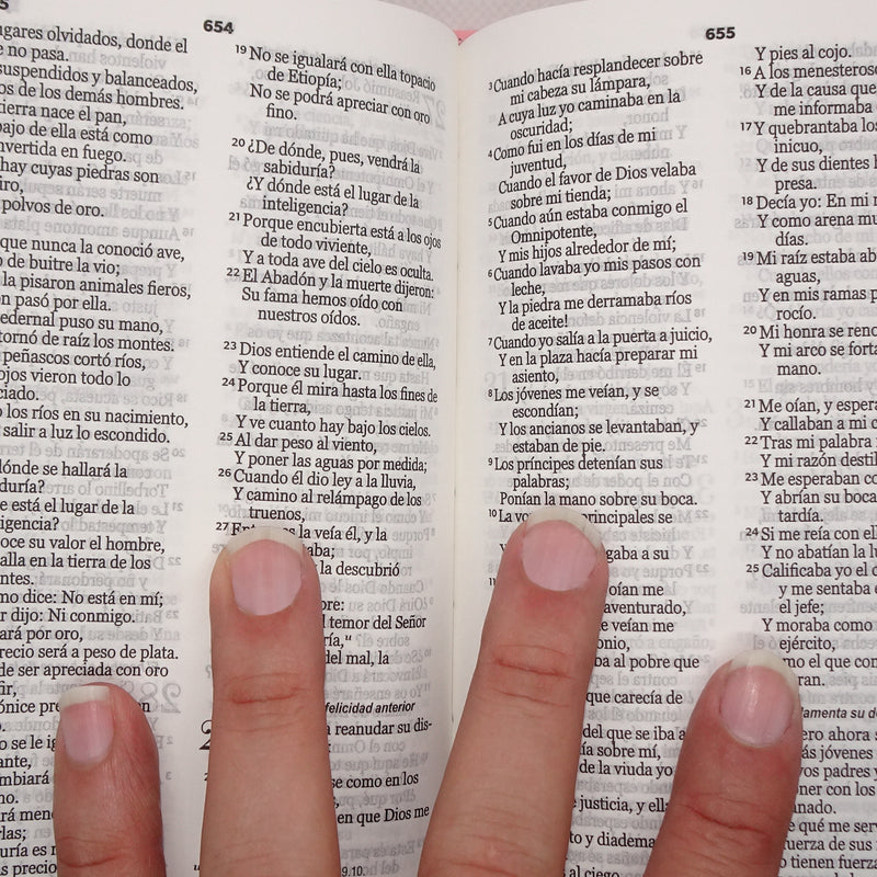 Cargue la imagen en el visor de la galería, Biblia RVR 1960, Tamaño Bolsillo, imitación piel rosada
