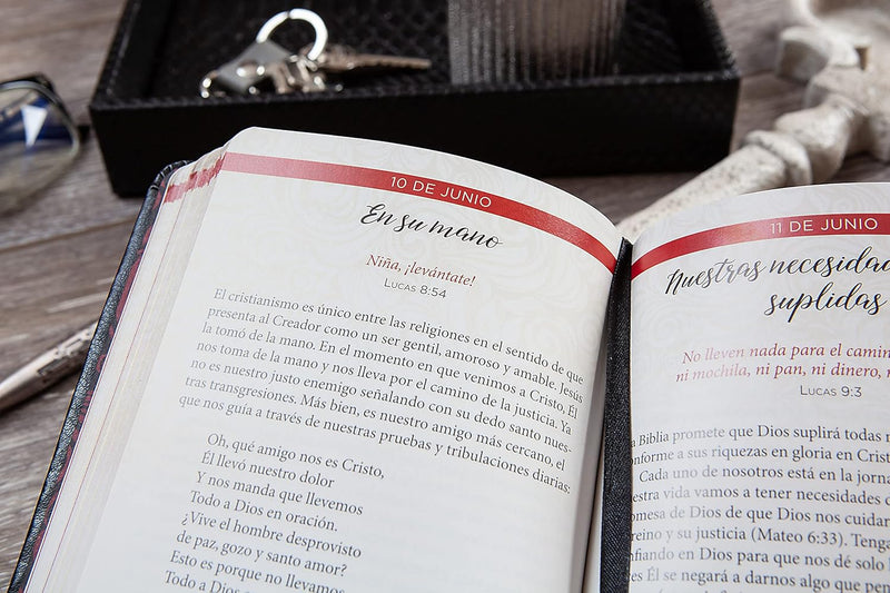 Cargue la imagen en el visor de la galería, Jesús en rojo: 365 meditaciones sobre las palabras de Jesús
