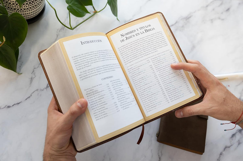 Cargue la imagen en el visor de la galería, Biblia de Promesas RVR 1960, Jesús para todos, Tamaño Manual, Letra Grande, piel especial café
