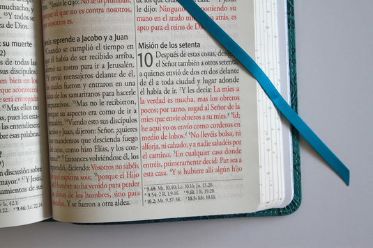 Biblia RVR 1960, Tamaño Manual, Letra Gigante, símil piel azul con pájaros