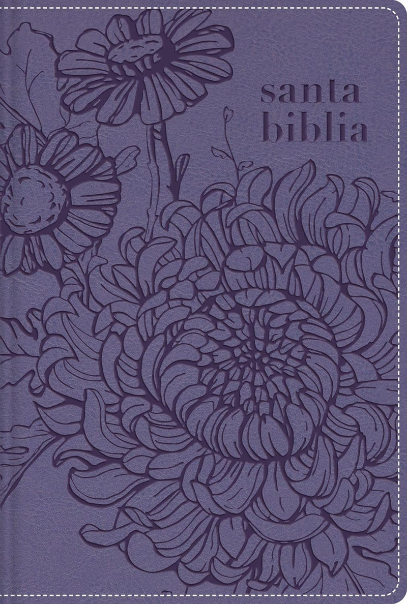 Cargue la imagen en el visor de la galería, Biblia de Bolsillo NBLA, Cierre zíper, imitación piel morada
