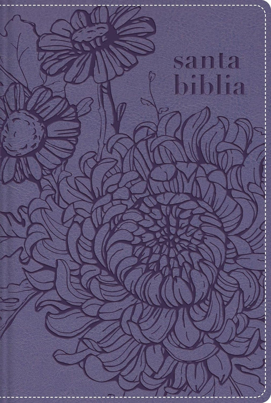 Biblia de Bolsillo NBLA, Cierre zíper, imitación piel morada