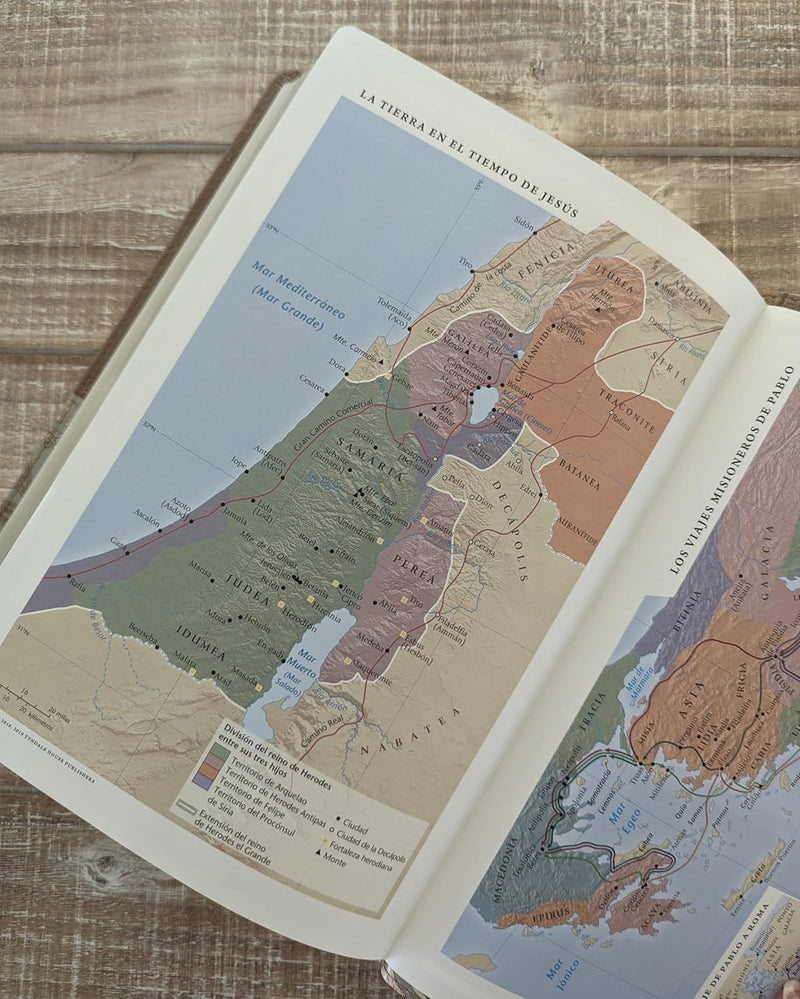 Cargue la imagen en el visor de la galería, Biblia NTV, Letra Súper Gigante, con índice, imitación piel beige pájaro
