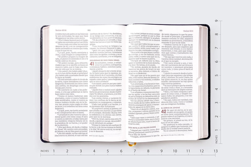 Cargue la imagen en el visor de la galería, Biblia del Ministro RVR60, Letra Gigante, imitación piel negro
